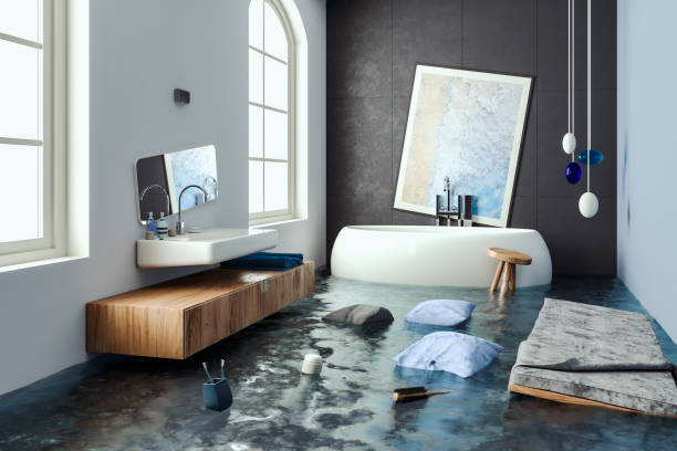 Best Water damage restoration near me  in South Holland, IL