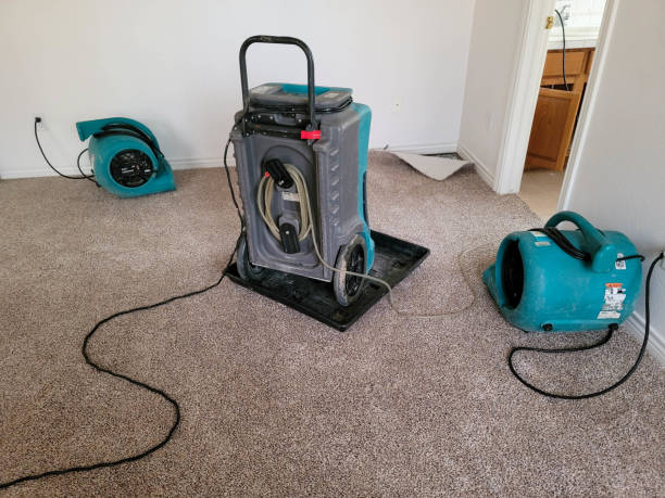 Best Water damage cleanup near me  in South Holland, IL