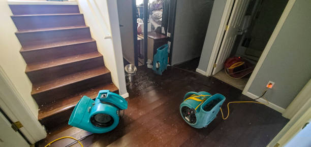Best 24/7 water damage repair  in South Holland, IL