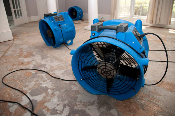 Best Residential water damage restoration  in South Holland, IL