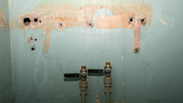  South Holland, IL Water damage restoration Pros