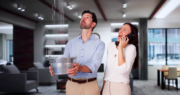 Best Mold removal after water damage  in South Holland, IL